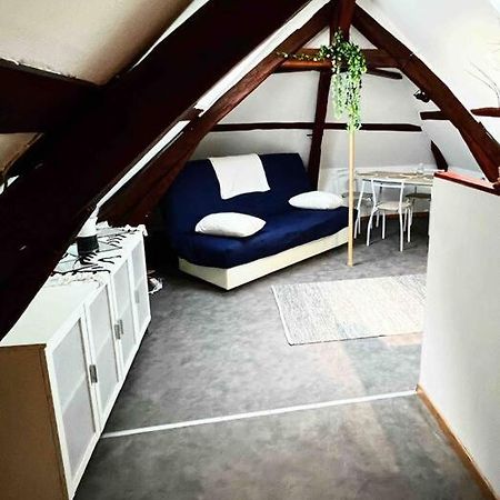 Tres Beau Studio Mansarde, Centre De Bourges公寓 外观 照片