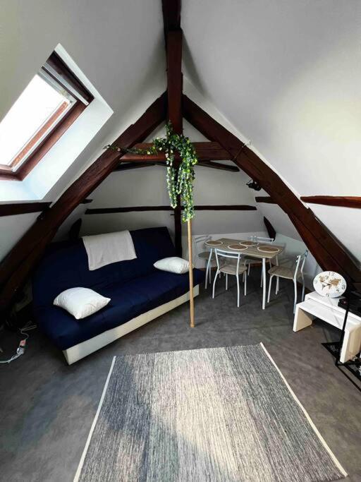Tres Beau Studio Mansarde, Centre De Bourges公寓 外观 照片