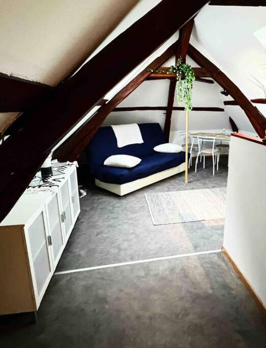 Tres Beau Studio Mansarde, Centre De Bourges公寓 外观 照片